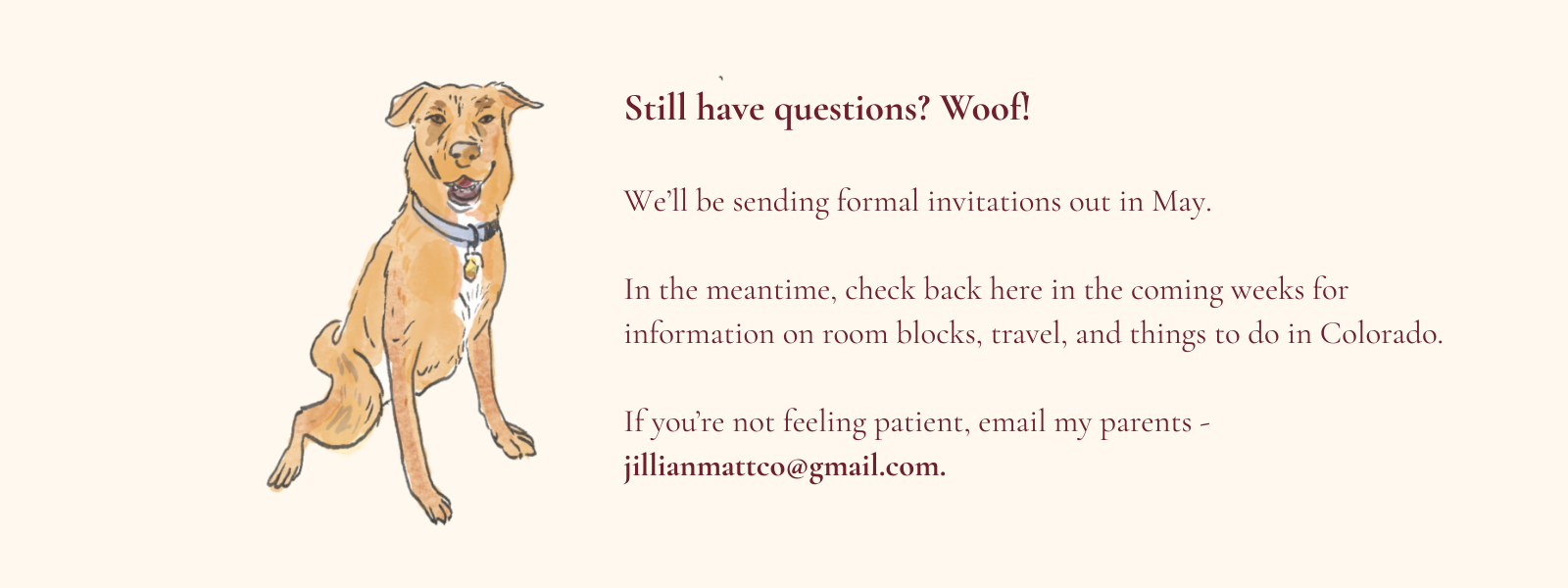Kaia the dog — Still have questions? Check back for more details or email jillianmattco@gmail.com
